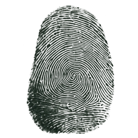 A decorative synthetic ink impression.